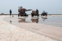 Salt Mining Field Machinery, Salt Collector,Salt Harvester