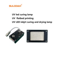 Lámpara LED UV de 350W Refrigerada por Agua, 365-405nm, 60*40mm, Alta Potencia, para Impresión UV, Serigrafía, Curado de Adhesivos, 1 Año de Garantía