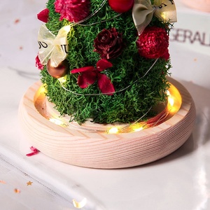 TC Wholesale Led <strong>Lights</strong> Star Preserved Rose Flower Moss Plants Christmas Gifts Decorations Supplies Christmas <strong>Tree</strong> <strong>in</strong> Glass Dome - Product Image 6