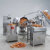 Machine de torréfaction automatique continue des cacahuètes avec convoyeur pour usine de transformation des noix et production de snacks