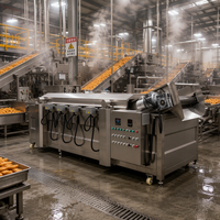 Friteuse industrielle entièrement automatique à cuisson continue pour la production de chips, d'arachides, de nuggets de poulet et de snacks