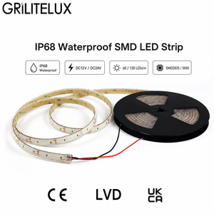 <b>LED</b> <b>Strip</b> Light 2835 120LEDs/m DC24V 14W 25mm Cut IP68 Silicone Tube Custom Length for Architectural Facades - Product Image 1