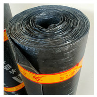 Membran Waterproofing Polyester Bitumen SBS Modifikasi dari Supplier China dengan Fitur Tahan Air untuk Atap Luar Ruangan