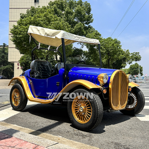 Coche Eléctrico Vintage Azul Dorado de Dos Plazas con Toldo para Transporte Turístico en Resorts Panorámicos - Product Image 6