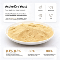 Vente en gros d'usine de poudre de levure inactive de haute qualité, source de protéines, pour améliorer la valeur nutritionnelle des aliments pour animaux