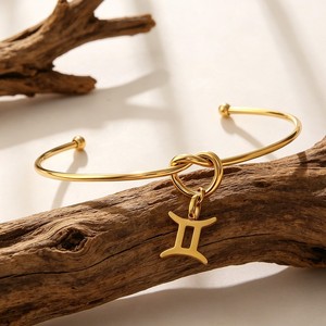 Brazalete Zodiacal al por Mayor de Acero Inoxidable Chapado en Oro de 18K para Uso Diario, Constelación Personalizada Ganku - Product Image 3