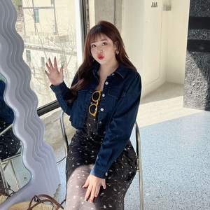 Veste en jean pour femme grande taille Happy Hut, manches bouffantes, col à revers, style tissé, printemps 2023, origine Suzhou - Product Image 2