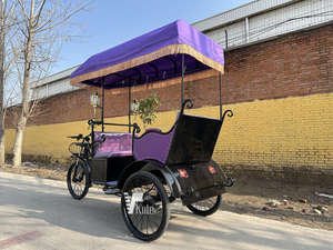 Tricycle électrique luxueux à 3 roues pour le transport urbain moderne - Product Image 4