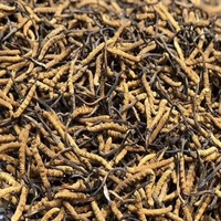 9006 Vente en gros de Cordyceps Sinensis naturel séché en tranches, non transformé, traité par procédé AD, 1 kg/paquet, durée de conservation de 18 mois