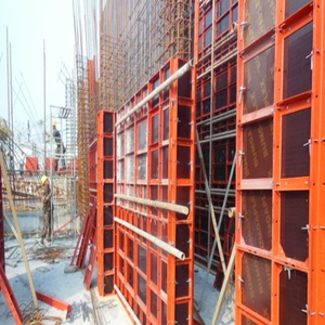 Ván Khuôn Tường Với Ván Khuôn Euro, Ván Khuôn Khung Thép Và Khuôn Symons - Product Image 6