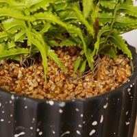 39cm nouvelle mode décoration plante de fougère artificielle fausses plantes de bonsaï de haute qualité cadeau de pendaison de crémaillère parfait