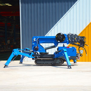 رافعة عنكبوتية صغيرة 1 طن رافعة صينية رافعة مجنزرة للبيع - Product Image 2