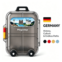 Mini-valise de la série Country, boîte à pilules portable, organiseur de médicaments de voyage, étui de rangement pour vitamines et comprimés, cadeau