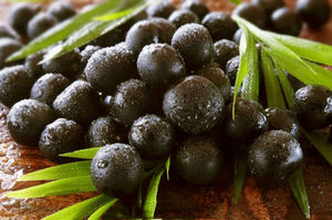 Bubuk buah <span class=keywords><strong>Acai</strong></span> alami murni semprot bubuk beri <span class=keywords><strong>Acai</strong></span> kering - Product Image 6