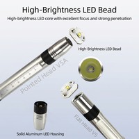 Lampe torche de camping rechargeable 5W UV 365nm LED étanche en acier inoxydable avec chargement USB, filtre V55, IP55, pour minéraux fluorescents