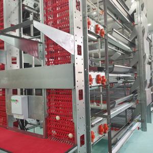 Yüksek kapasiteli h tipi tam otomatik pil tabakası kafes sistemi satılık galvanizli pilli tavuk kümes kafesi - Product Image 3