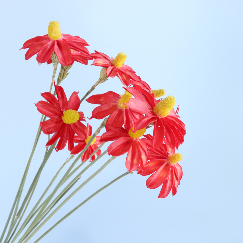 Rojo brillante