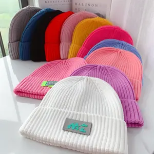 Daily Classic Fashion Designer Embroidery Acrylic Thick Warm Soft Knit Beanie Cap Hat For Men Women