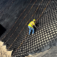 Matériau HDPE durable de haute qualité mur de soutènement extérieur Protection de pente d'allée modèle 3D conçu Geocells fabriqués LUDE