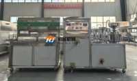 Lait de soja et tofu commerciaux à petite échelle faisant la machine fabricant de tofu automatique avec noyau PLC 220V 0.5kW garantie 1 an