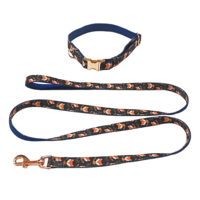 Ensemble de collier et laisse à imprimé pour chien, accessoires basique et réglables pour chiens avec anneaux en métal pour les petites/moyennes/grandes tailles
