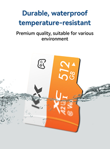 Factory Oem Mini <strong>SD</strong> High Quality Speed <strong>SD</strong> <strong>Memory</strong> 512GB <strong>1TB</strong> TF Card <strong>Memory</strong> Cards Game Card - Product Image 2