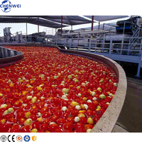 Projet clé en main Ligne de production de pâte de tomate Ligne de fabrication de pâte de tomate Machine