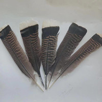 Proveedor de Plumas al por Mayor, Precio Económico, Excelente Calidad, Pluma de Cola de Pavo Salvaje Natural de 6-8 Pulgadas para Decoración