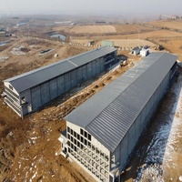 Bâtiment d'élevage avicole en structure métallique