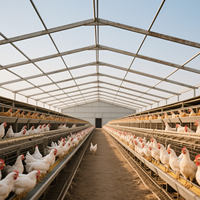 Modèle de luxe préfabriqué mobile portable en métal galvanisé léger structure en acier ferme étable poulet volaille ventilation