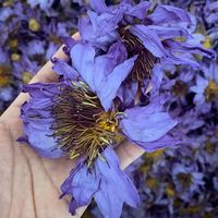 Thé minceur au lotus bleu séché biologique frais - Soins de beauté, qualité supérieure, emballage en vrac/sac, thé en vrac de Anhui Fuli Hall
