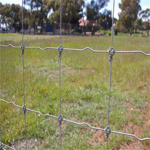 Rollo de 50m de Cerca Agrícola Tejida Galvanizada en Caliente de 1.524m (5 pies) con Nudos Fijos y <span class=keywords><strong>Curva</strong></span> de Tensión para Ciervos - Product Image 1