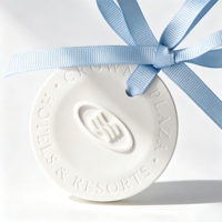 Diffuseur d'huiles essentielles d'aromathérapie en céramique de bureau à domicile avec logo rond personnalisé désodorisant aromatique en plâtre suspendu