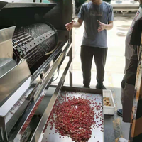 Granaatappel Dunschiller Machine Granaatappelzaden Verwijderaar Machine Granaatappel Separator Verwerkingsmachine