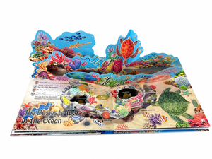 Libro Cartonato Educativo 3D Personalizzato con Suoni e Copertina Rigida per Bambini 2-4 Anni in Inglese, Alimentato a Batteria - Product Image 1