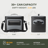 Sac isotherme portable moderne en TPU 30 canettes, étanche, anti-fuite, motif lettres, pour le stockage alimentaire, les voyages, le camping et les activités de plein air