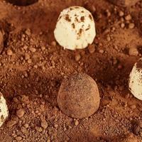 Boîte de chocolats au lait solides en forme de truffe, best-seller viral, 118g, boîte cadeau, collation cuite prête à consommer