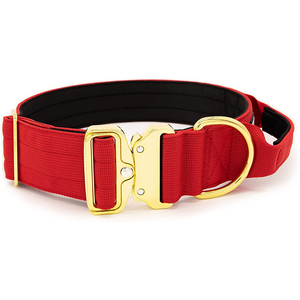 Collar para perro de combate acolchado de <span class=keywords><strong>neopreno</strong></span> resistente, 1,5 pulgadas, hebilla de Color dorado - Product Image 2