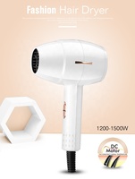 Sèche-cheveux de voyage portable à moteur DC ionique léger 1200W-1400W, personnalisable OEM, avec buse concentrateur – Vente chaude
