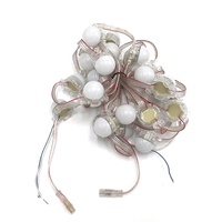 Source de lumière ponctuelle programmable en extérieur 30MM 50MM, couverture laiteuse, 12V 24V, pixel LED RGB, boule