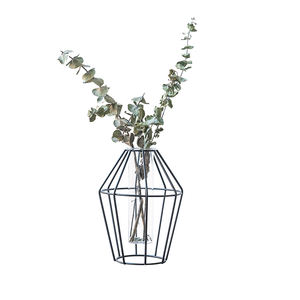 Nordic Metal Alambre de jardinera con tubo de ensayo Bud florero terrario contenedor titular Decoración de casa - Product Image 1