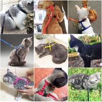 Collier de chat en nylon réglable de 10 couleurs avec décorations de ruban Style solide confortable lapin chaton Kedi harnais laisse ensemble