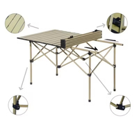 Table de pique-nique pliante portative de conception moderne pour des excursions extérieures de camping de BBQ