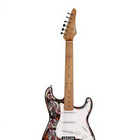 Gitar dengan Leher & Fretboard Maple Karbonisasi Kelas Profesional Hz Pro-Grade dengan Body PC untuk Pertunjukan Langsung dan Penggunaan di Studio