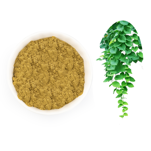 Complément Herbal Hederacoside C 10% Certifié Halal Extrait de Feuille de Lierre en Fût Testé par HPLC - Product Image 2