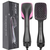 Nouvelle brosse sèche-cheveux électrique 2-en-1, brosse à air chaud, outils de coiffure, sèche-cheveux ionique, lisseur pour hôtel et usage domestique