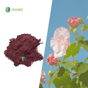 SLBIO Supply 10:1 Extrait de fleur d'<span class=keywords><strong>hibiscus</strong></span> en poudre, extrait végétal - Product Image 3