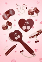 Kit BDSM Thème Cerise Rouge Doux Jouets SM pour Adultes Bouchons buccaux Menottes de cou pour chatouiller Bandes pour les yeux en Cuir PU Jouets Sexuels Couples Femme Homme