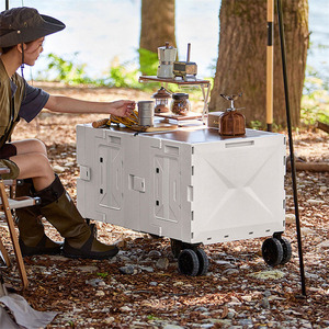 Factory Directly <strong>Plastic</strong> Mini Folding <strong>Wagon</strong> Camping Hiking Cart Outdoor Picnic <strong>Beach</strong> Camping <strong>Wagon</strong> with Wooden Lid Cover - Product Image 2