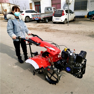 Mini Motocultor Agrícola de Cuatro Ruedas con Caja de Cambios, Motor y Bomba - Multifuncional para Uso Doméstico y en Huertos - Product Image 1